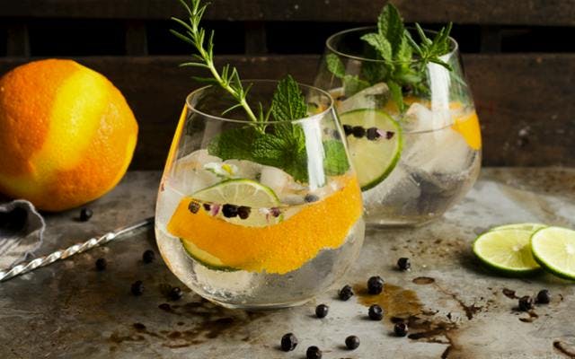 Gin and Tonics in tumblers with mint orange zest juniper berries and rosemary sprigs to garnish over ice