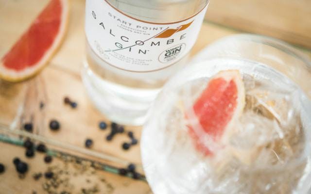 Salcombe gin with juniper berries and grapefruit
