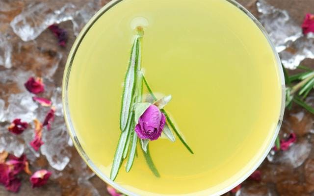 Amazing lime green yellow cocktail with rose Bees Knees Cocktail