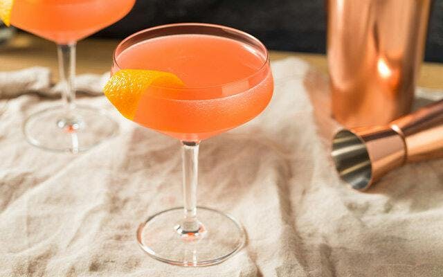 gin-grapefruit-elderflower-cocktail.jpg