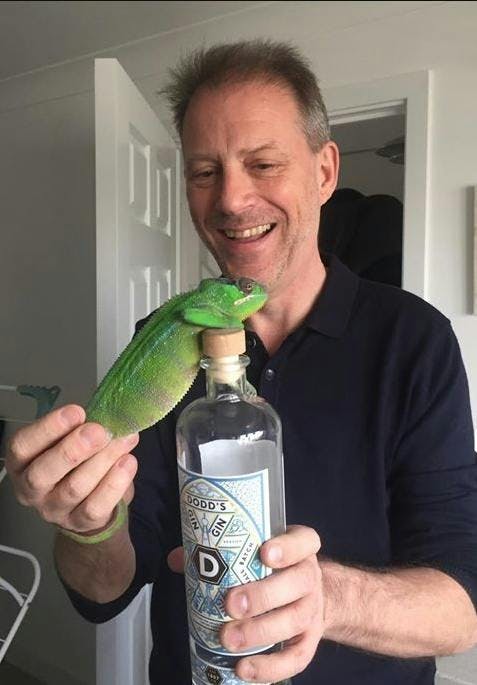 Say hello to Monty the chameleon… guardian of member, Bob’s, bottle of Dodd’s gin!