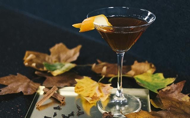 Autumn Fall Spiced Negroni Martini