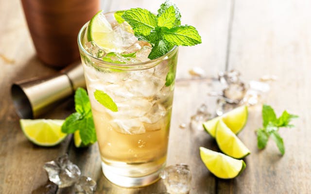 Light cocktail in a highball glass filled with ice with lime and mint garnish