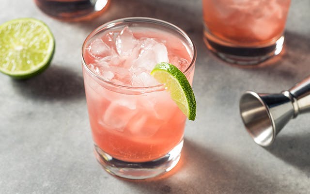 Homemade rhubarb gin and tonic recipe with a slice of lime to garnish