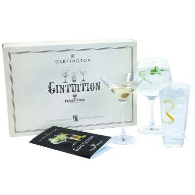 Dartington Crystal Gintuition Gin Glasses Set