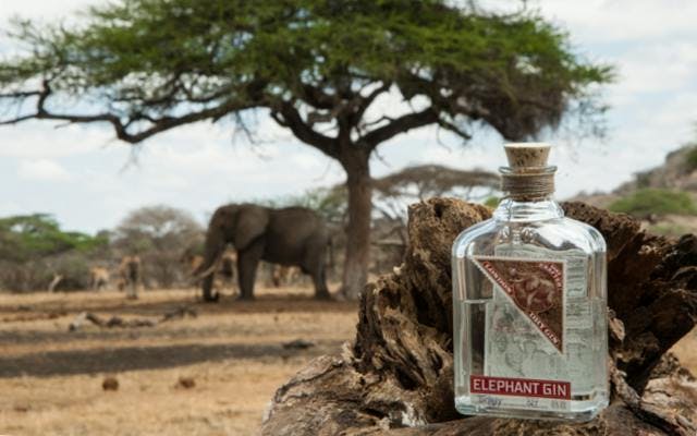 Elephant Gin: African taste, German quality and a really big heart