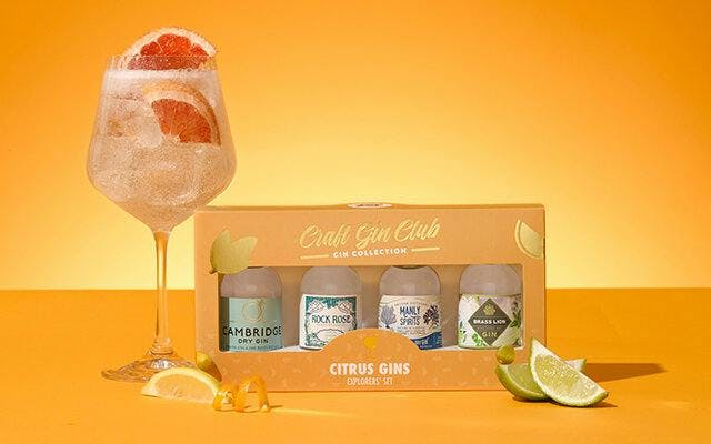 Any citrus gin lover needs to own this miniature gin gift set.