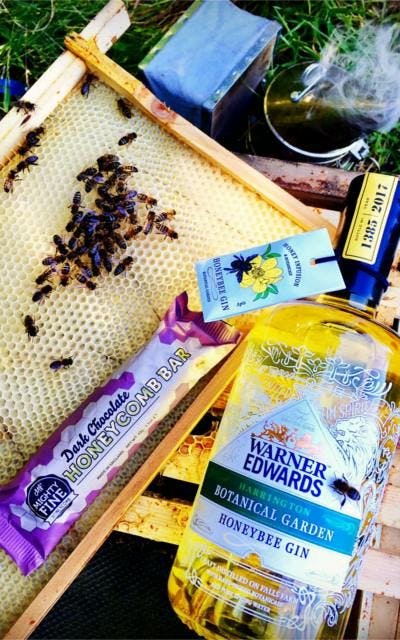 gin ginstagram photo competition bees