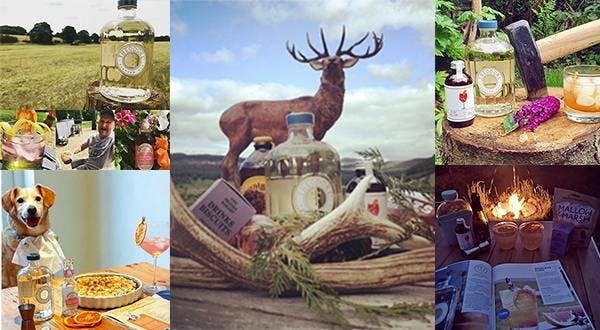 Revealing July's wild and wonderful Ginstagram winners!