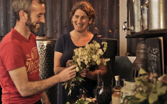 Flowers in vase to be used as botanicals to flavour Glendalough gin