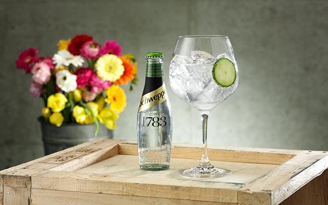 Schweppes Cucumber tonic and g&T with cucumber slice