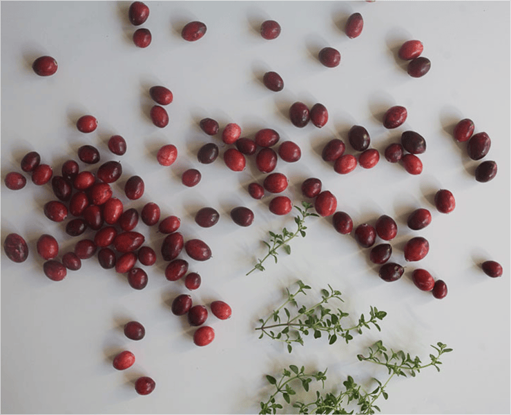 Cocktail of the Week: Thanksgiving Cranberry Thyme G&T