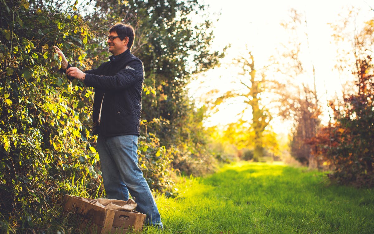 Burleigh's Gin and Margaret Thatcher's green legacy