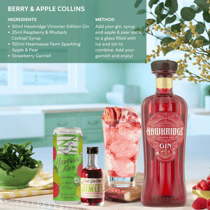 Berry & Apple Collins Cocktail Set