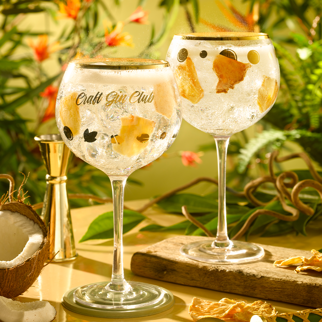 12 Pack Tonic &amp; Frisdrank Bundel