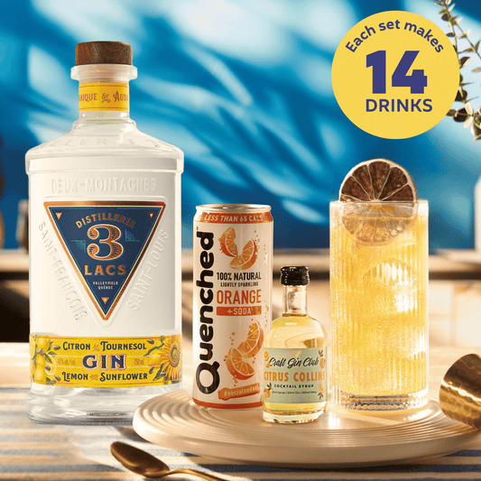 Citrus Collins Cocktail Set