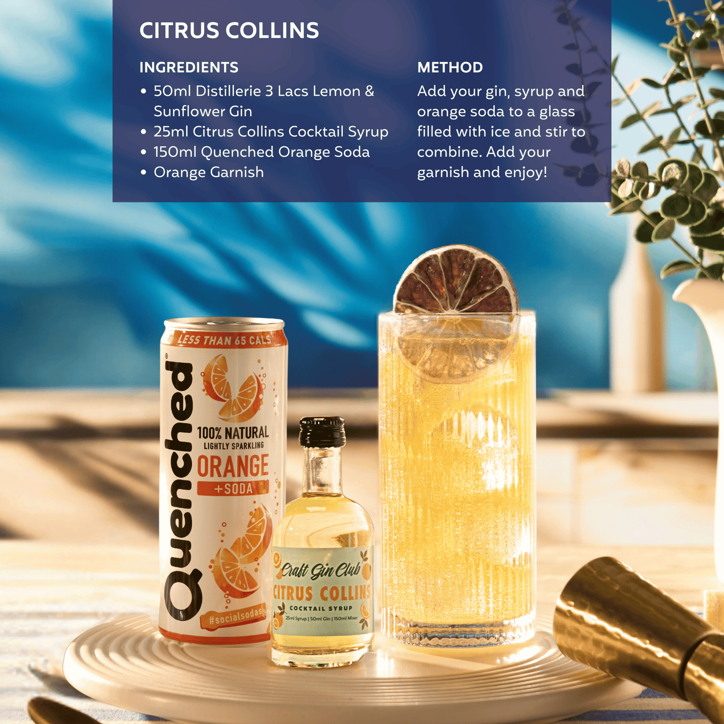Citrus Collins Cocktail Set