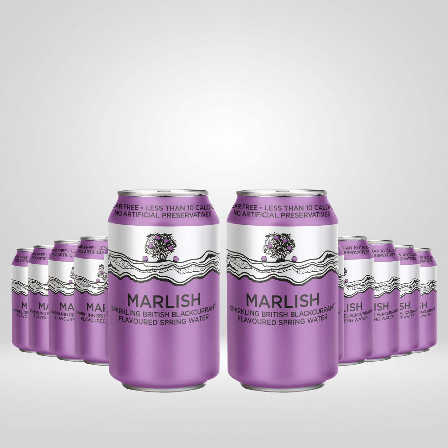 Marlish Blackcurr bruiswater | (8 x 330ml)