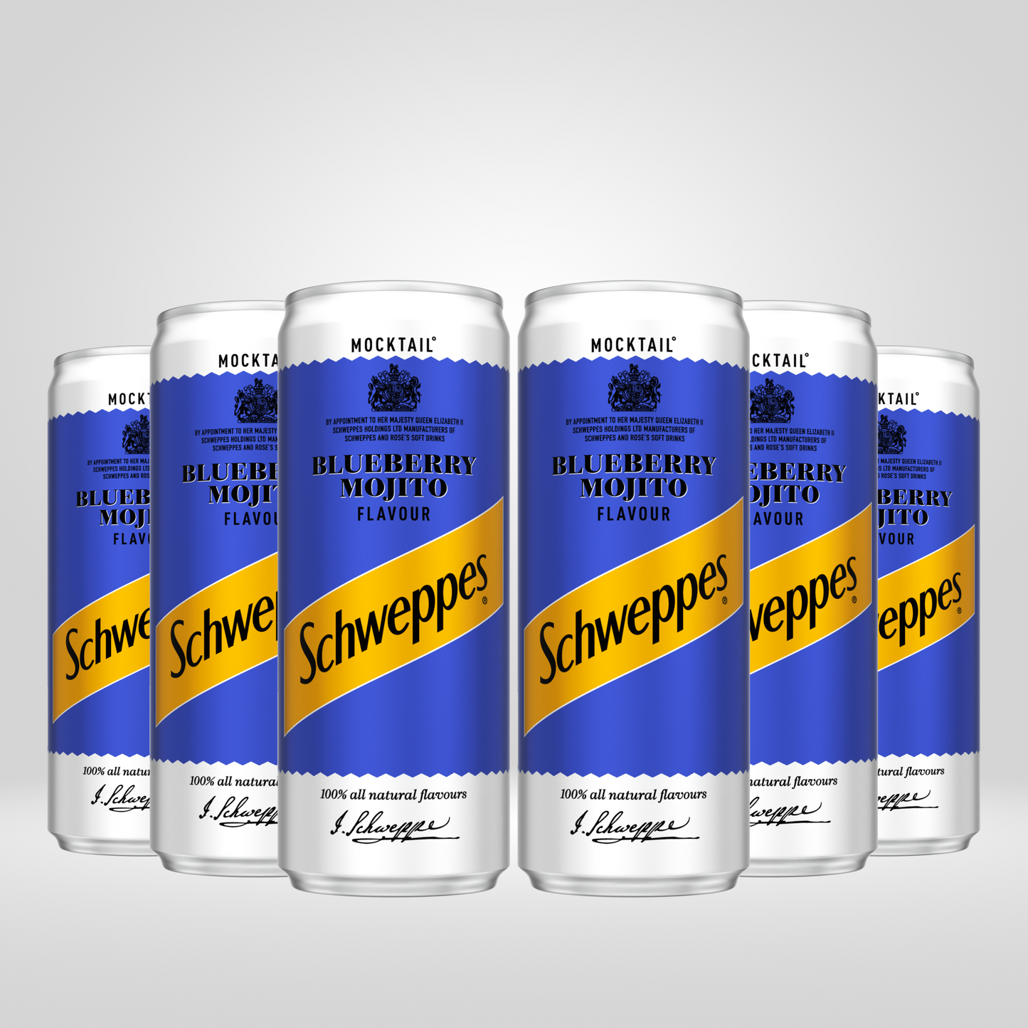 Schweppes Blueberry Mojito | (6 x 250ml)