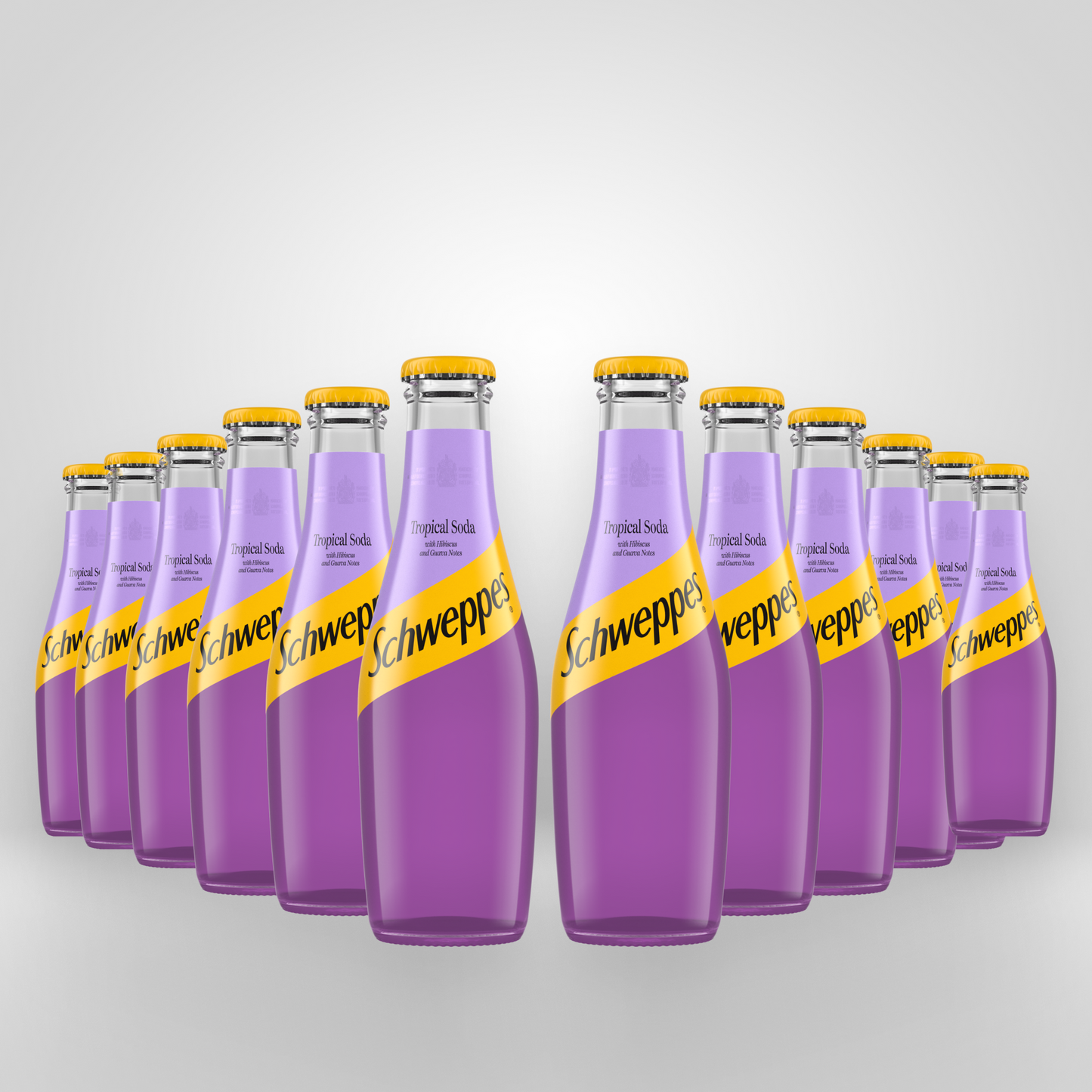 Schweppes Tropical Soda | 12 x 200ml
