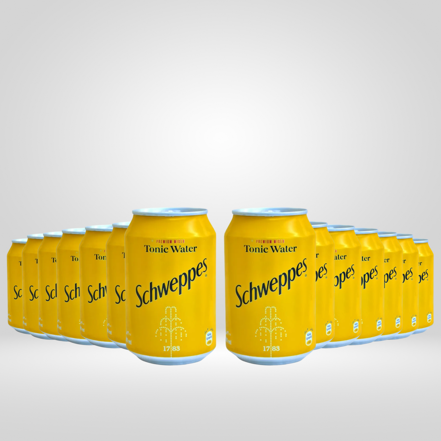 Hentony Festive Gin Perfect G&T