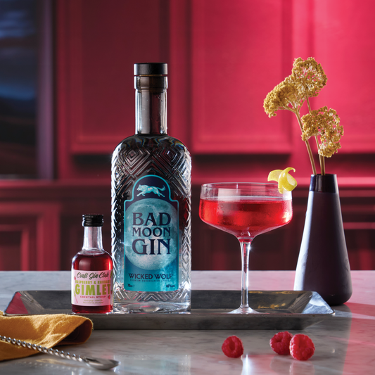 Raspberry and Rhubarb Gimlet cocktail bundle